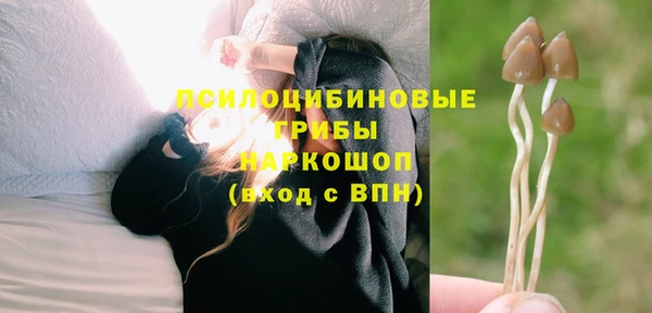 ПСИЛОЦИБИНОВЫЕ ГРИБЫ Богородск