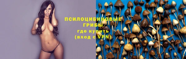 бутират Богданович