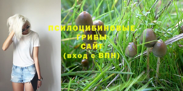 ПСИЛОЦИБИНОВЫЕ ГРИБЫ Богородск