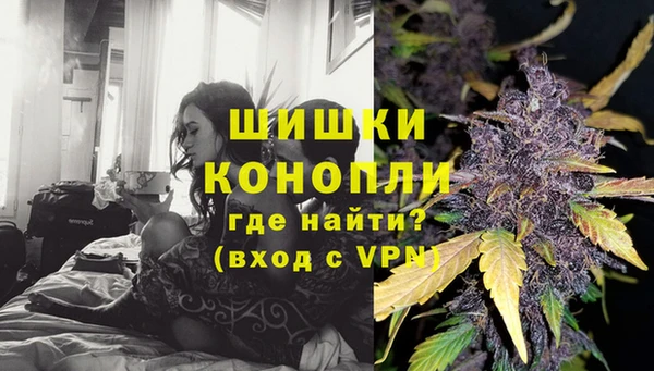 бутират Богданович